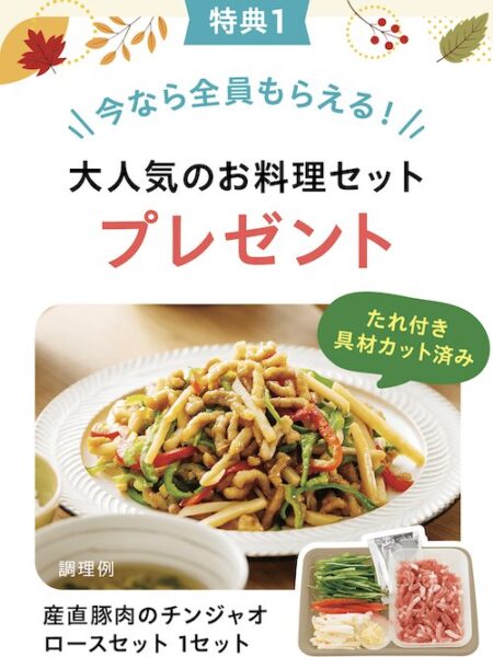パルシステムの人気料理セットプレゼント【26121まで】